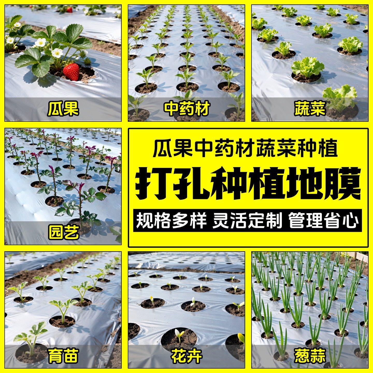 打孔银黑地膜农用种植种菜专用塑料薄膜防草保温保湿双色反光带孔,淘宝优惠券,粉丝福利购,淘宝优惠卷