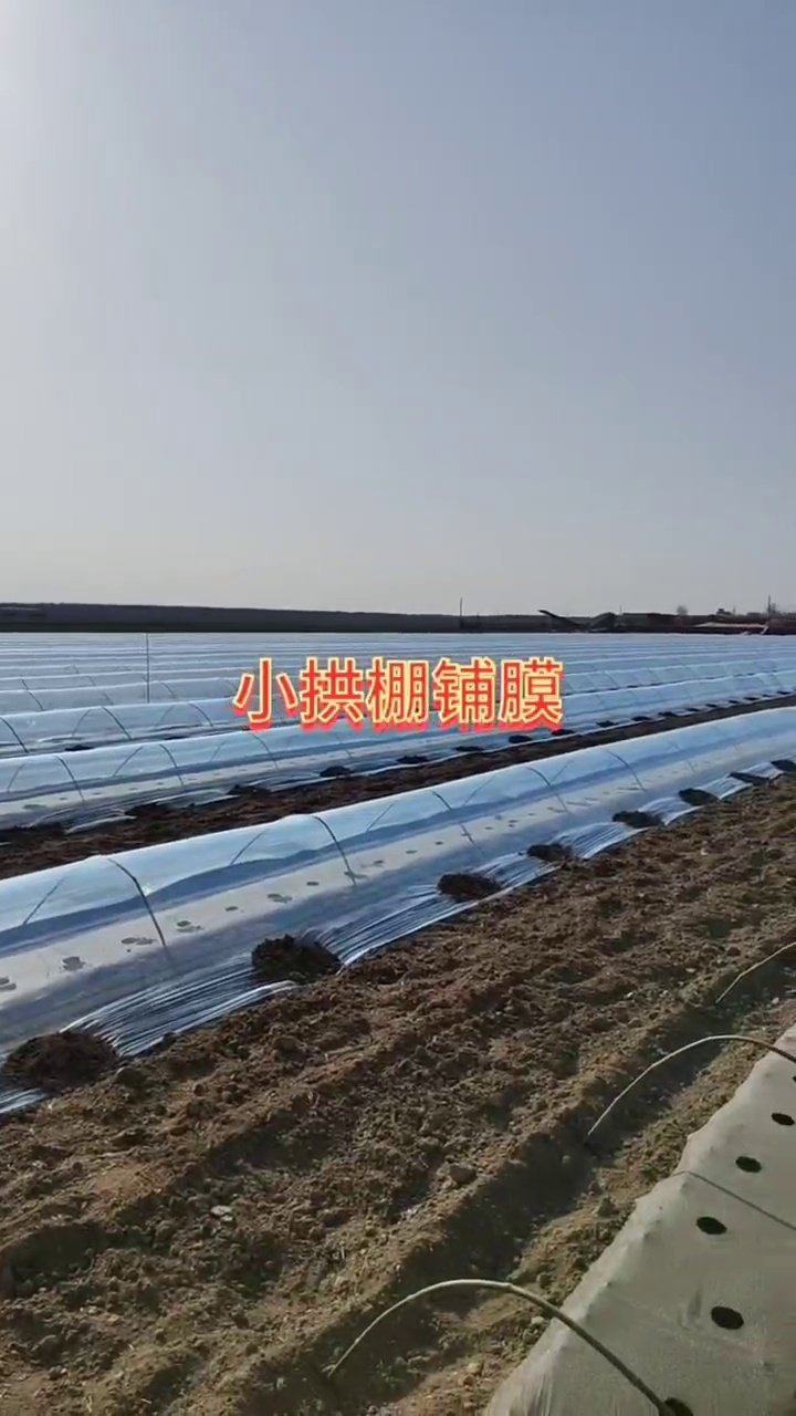 农用小拱棚保湿白色地膜白色蔬菜小棚塑料膜菜地透明保温大棚薄膜,淘宝优惠券,粉丝福利购,淘宝优惠卷