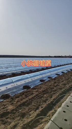 农用小拱棚保湿白色地膜白色蔬菜小棚塑料膜菜地透明保温大棚薄膜 - 图0