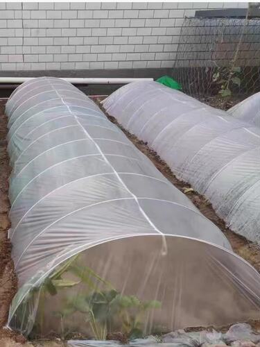 农用小拱棚保湿白色地膜白色蔬菜小棚塑料膜菜地透明保温大棚薄膜 - 图2