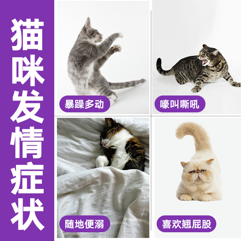 猫咪禁发情期粉母猫公猫专用抑制情欲药闹猫叫抑情片喵情粉静绝情 - 图1