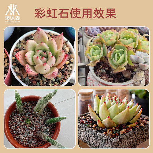 多肉全颗粒土虹彩石植物铺面种植彩虹石麦饭蛭石火山岩兰花营养土 - 图2