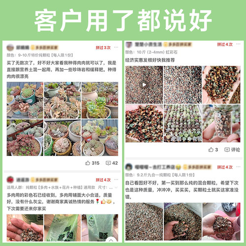 多肉彩虹石纯颗粒土营养土壤火山麦饭石多肉栽培颗粒土专用铺面石 - 图2