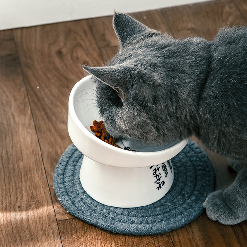 猫碗保护颈椎猫咪碗陶瓷高脚斜口猫饭碗可爱日式猫食盆宠物饮水碗-图0