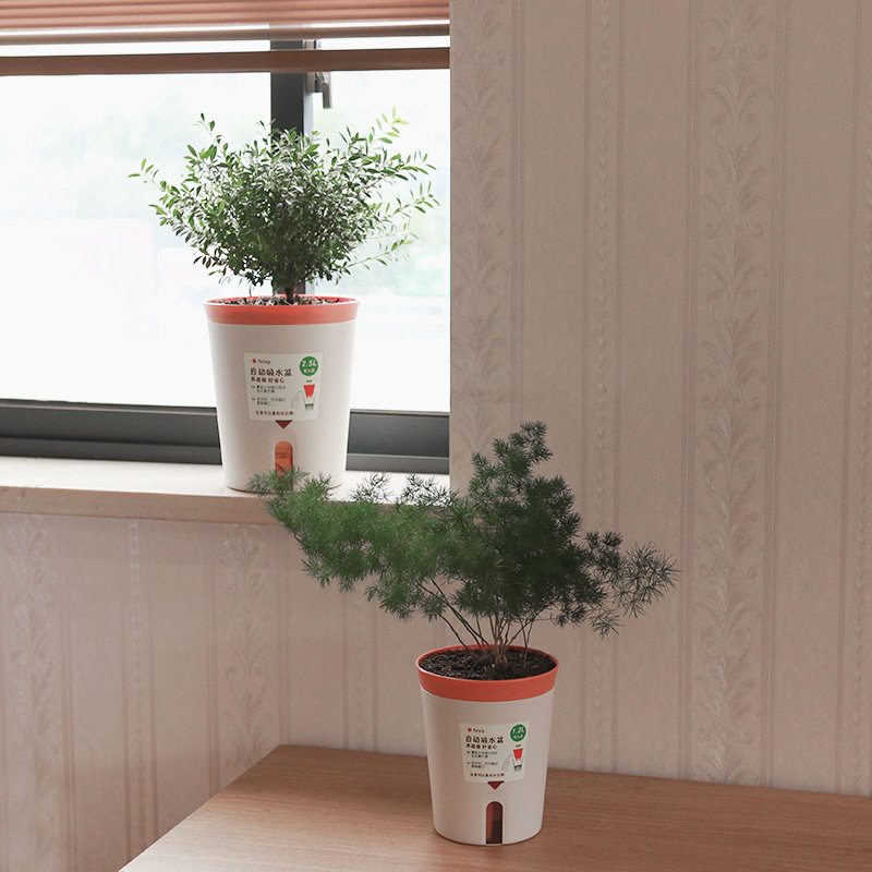 懒人双层自动吸水花盆室内桌面水培植物花卉控水储水花盆塑料小号,淘宝优惠券,粉丝福利购,淘宝优惠卷