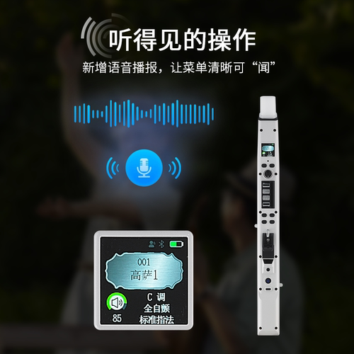 格瑞特AP100电吹管2026新款中老年人电子管萨克斯初学者乐器便携 - 图0