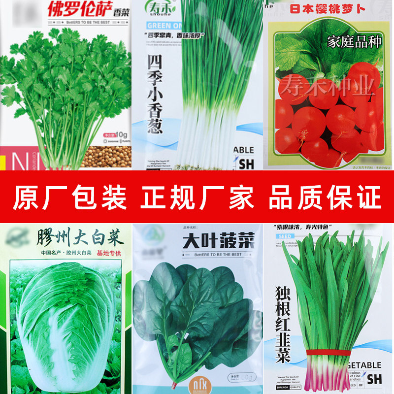 蔬菜籽种子大全生菜种孑阳台盆栽青菜种籽北方四季香菜种籽大白菜_虎窝淘