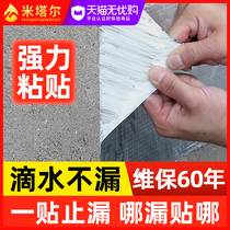 Roof Waterproofing Leakage Material Roof Cement Surface Crack Adhesive Tape Seals Balcony Windows Leaks Leak King