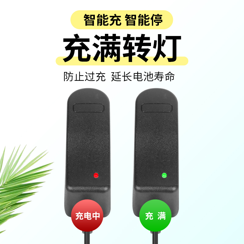 12V18V21V24V25V48V无线洗车枪高压清洗水枪洗车机器锂电池充电器 - 图1