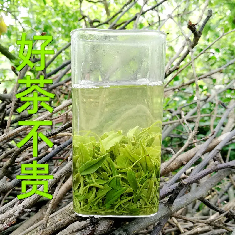 茶叶2024年信阳毛尖新茶雨前浓香绿茶耐泡春茶农家自销普茶250g - 图0