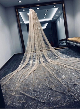 超仙超长奢华头纱香槟色星空租赁