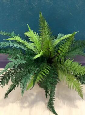 仿真绿植把束波斯草店面装饰蕨类
