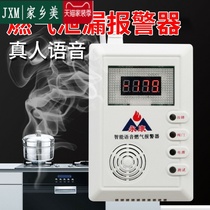 Detection Leak Dew Detection Kitchen Gas Siren Gas Natural Liquefaction Catering Home Business Hotel Guard