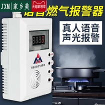 Leak Home Gas Alarm Gas Bottled Liqueur Natural Catering Hotel Commercial Leak Detection Kitchen Aborted