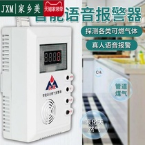 Home Safety Home Gas Siren Gas Liquefied Gas Catering Hotel Commercial Leak Detection Kitchen