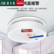 Carbon monoxide siren Domestic battery Gas Toxic Gas Detection Instrument Anthracite Furnace CO Poisoning Detection