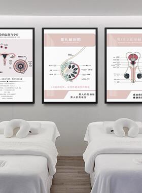 美容院女性生殖保养装饰画产康解剖图挂画养生月子馆产后修复墙画