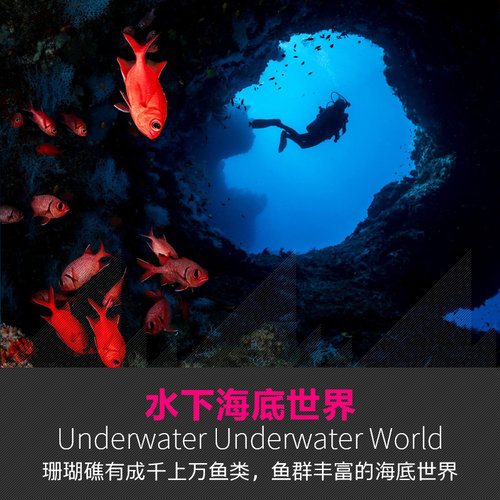 马尔代夫五星芙拉薇莉岛旅游7天5晚自由行含机票酒店一价全包 - 图2