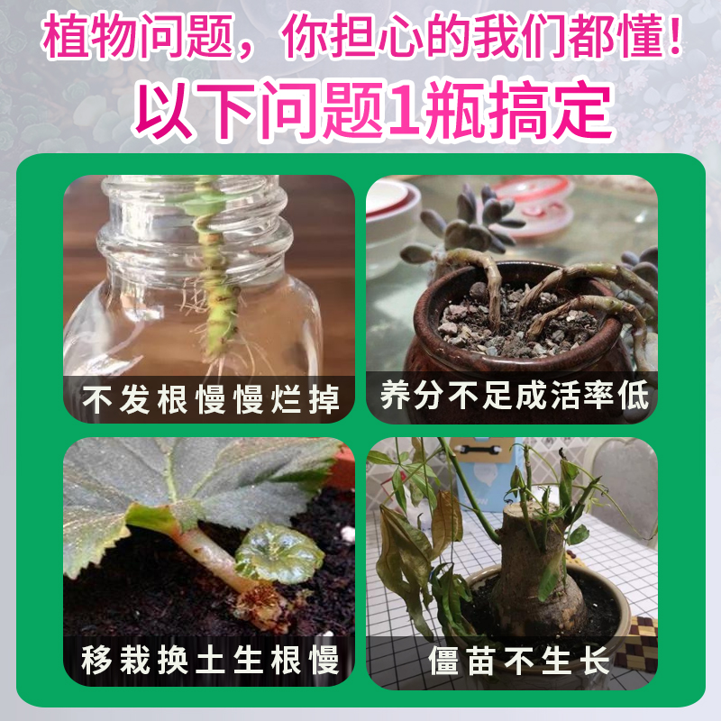 生根液植物通用快速强力月季扦插壮苗剂蝴蝶兰花卉盆栽猛生根原液 - 图0