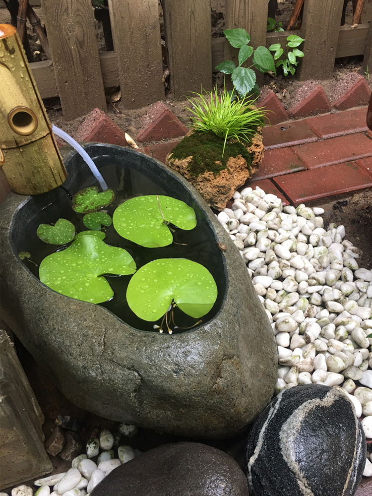 特大号天然鹅卵石花盆鱼缸铜钱草养鱼碗莲盆石头创意花器流水桌面 - 图0