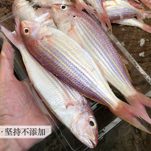 红杉鱼海鱼新鲜冷冻食用潮汕海鲜水产深海钓红三鱼金丝鱼金线鱼 - 图2