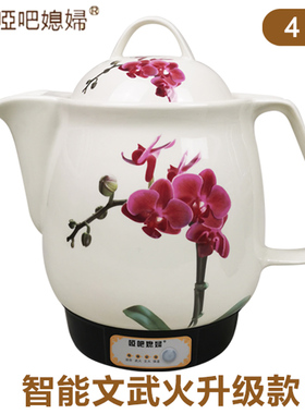 全自动电热煎药壶哑吧媳妇