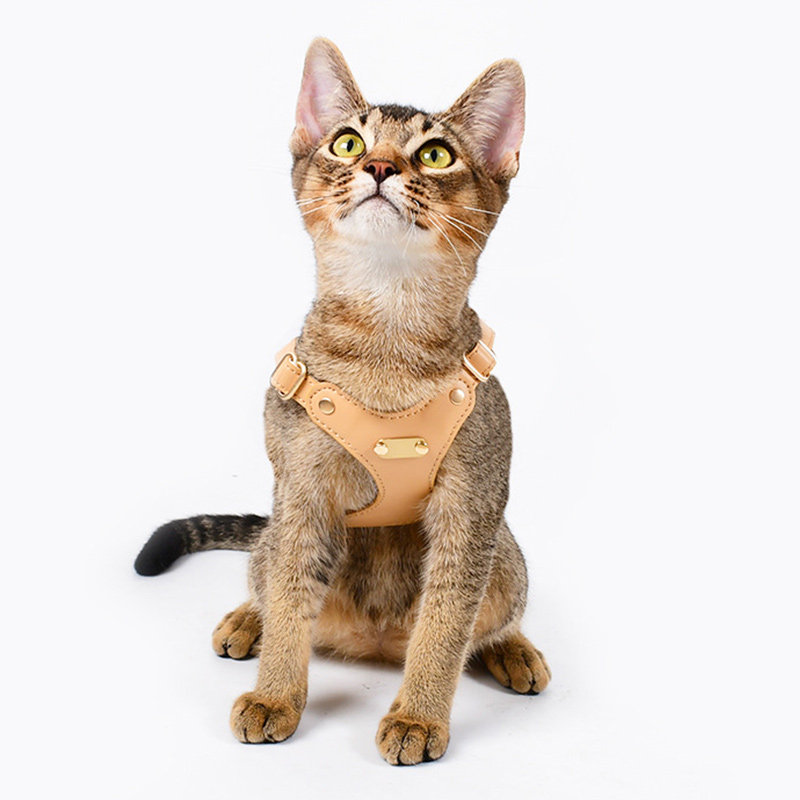 猫咪牵引绳背心式皮质小型犬胸背带泰迪比熊宠物缅因布偶帅气神器,淘宝优惠券,粉丝福利购,淘宝优惠卷