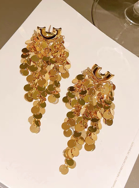 小众设计高级感金属鳞片流苏耳环女轻奢时尚百搭2025年新款潮耳饰