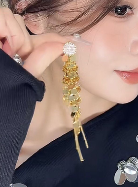 s925银针耳环长款流苏耳钉高级感小众设计复古气质耳饰女