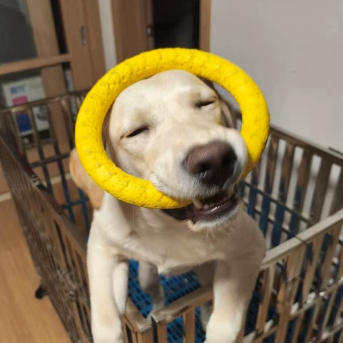 Собачьи игрушки, резиновые кольца, домашние животные, лабрадорская лошадь, пограничный воротник, устойчивый