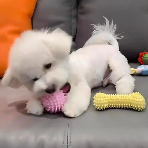 Большая собака игрушка для чистки костей кость зубы, устойчивые к устойчивости к укусу