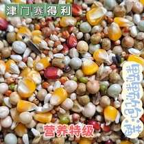 Tianjin pioneered Seidli (nutrition special class) pigeon grain letter racing pigeon feed 50 kilos of JiangZhejiang