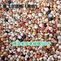 Langfang Lung Flying Erve Grain (Boutique Young Pigeon) Energy Young Pigeon Feed No Corn Reinforced Racing Pigeon Special 50 catties