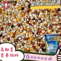Belgium Royal Nutrient Dove Grain with corn pigeon Grain Letter Racing Pigeon Feed 45 Kengjiang Shanghai