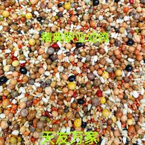 Beijing Tianyou ten thousand Pigeon Food Classic Career Young Pigeon Food Grain Letter Racing Pigeon Food feed 50 catty