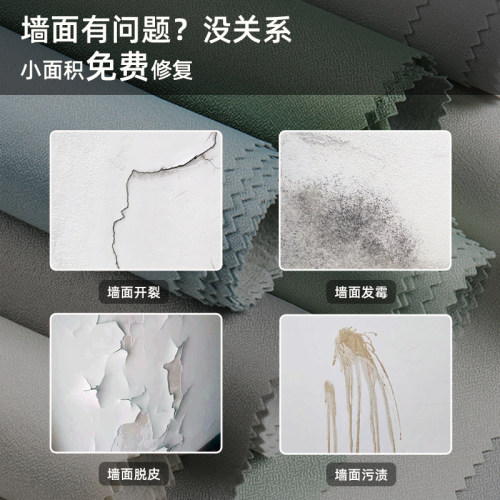 上海上门贴墙布无缝全屋2026新款壁布墙纸客厅卧室背景墙包安装 - 图3
