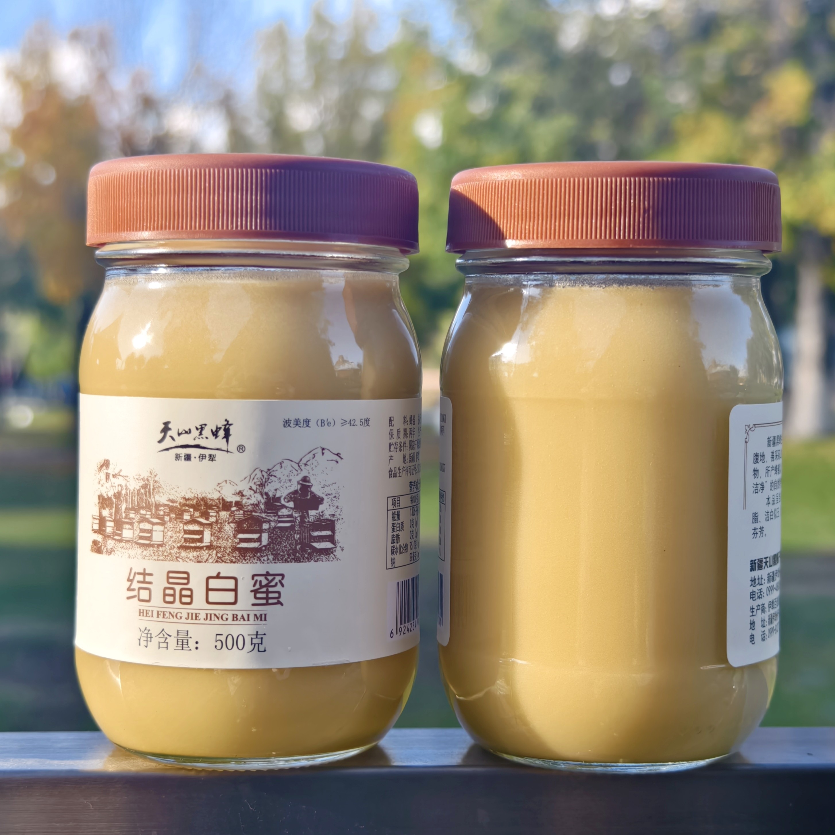 新疆天山蜂蜜结晶雪蜜伊犁黑蜂蜂蜜500g玻璃瓶