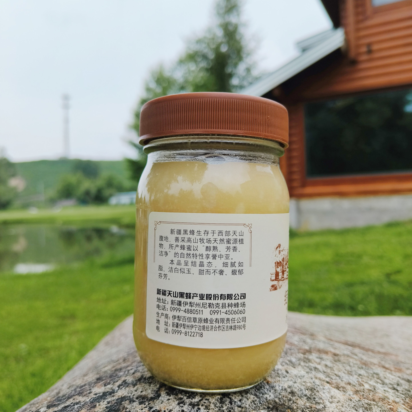 新疆天山蜂蜜结晶雪蜜伊犁黑蜂蜂蜜500g玻璃瓶