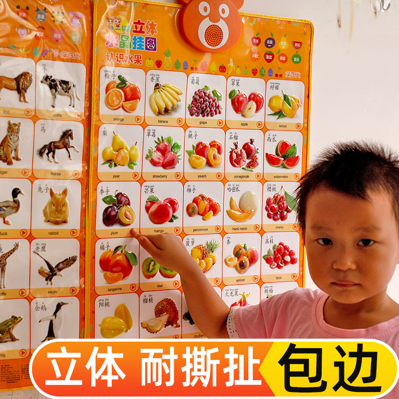 宝宝启蒙发音幼儿童拼音挂图数字卡 百集伟业母婴玩具挂图/认知卡