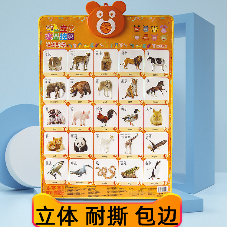 宝宝启蒙发音幼儿童拼音挂图数字卡 百集伟业母婴玩具挂图/认知卡