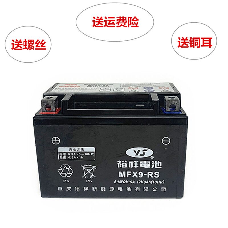 裕祥摩托车电瓶YTX9-BS黄龙600/300光阳250GW25012V9A电池 - 图2