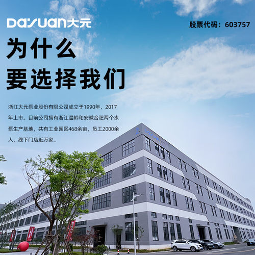 大元不锈钢220V单相家用污水泵抽水机泥水潜污泵高扬程提升泵WQD - 图2