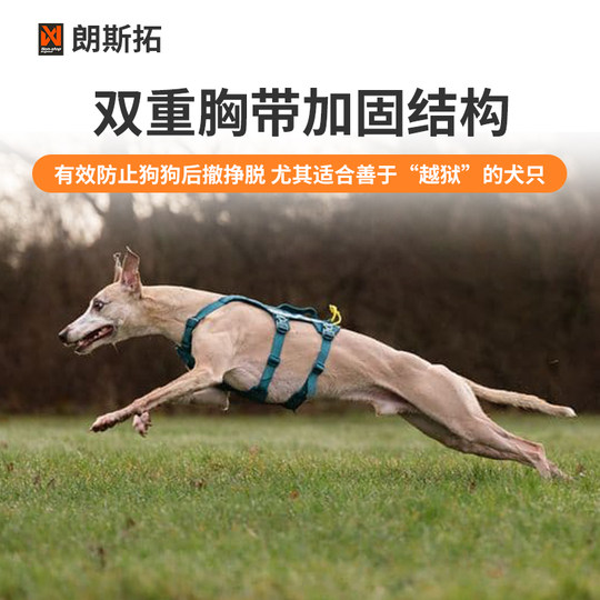 Norwegian Nonstop comfortable and lightweight traction harness