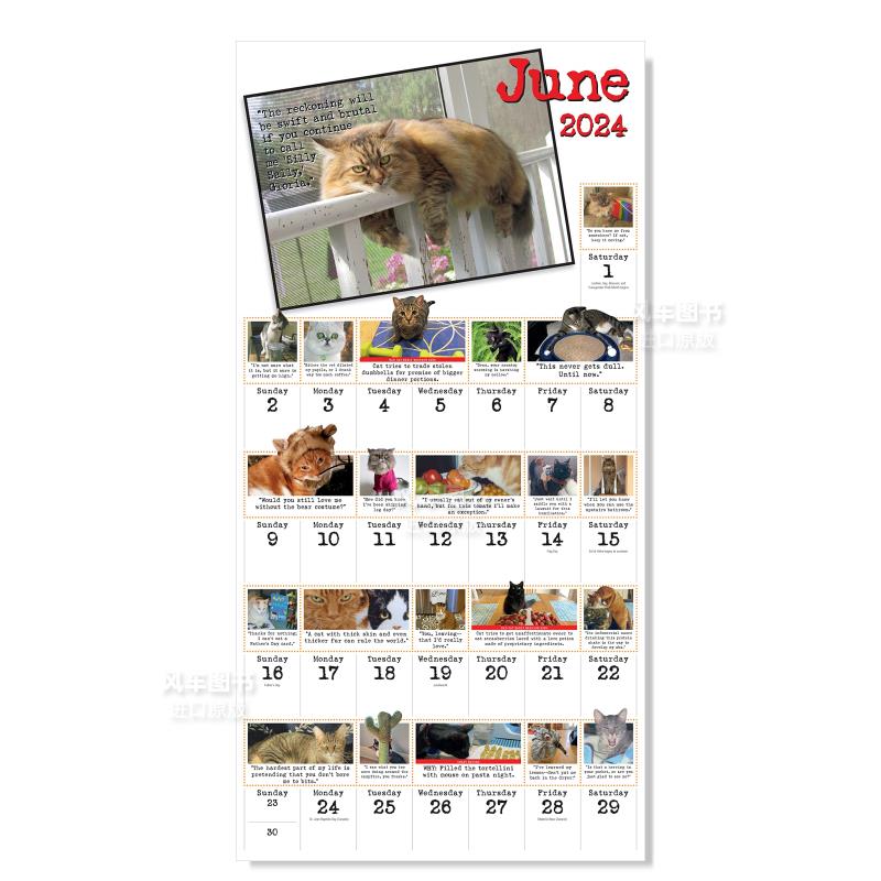 【预 售】Bad Cat Wall Calendar 2024: Celebrating the Misfits of the Feline World 日历 挂历 英文原版 - 图1