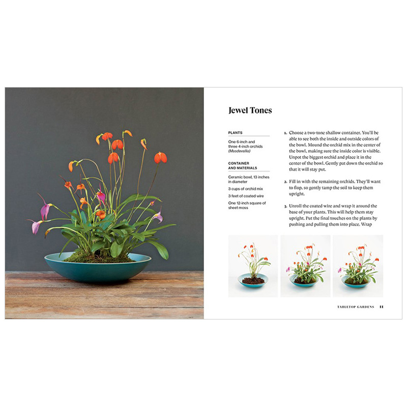 【现货】【与植物一起生活】桌上花园英文生活综合【Living with Plants】Tabletop Gardens精装Baylor Chapman - 图1