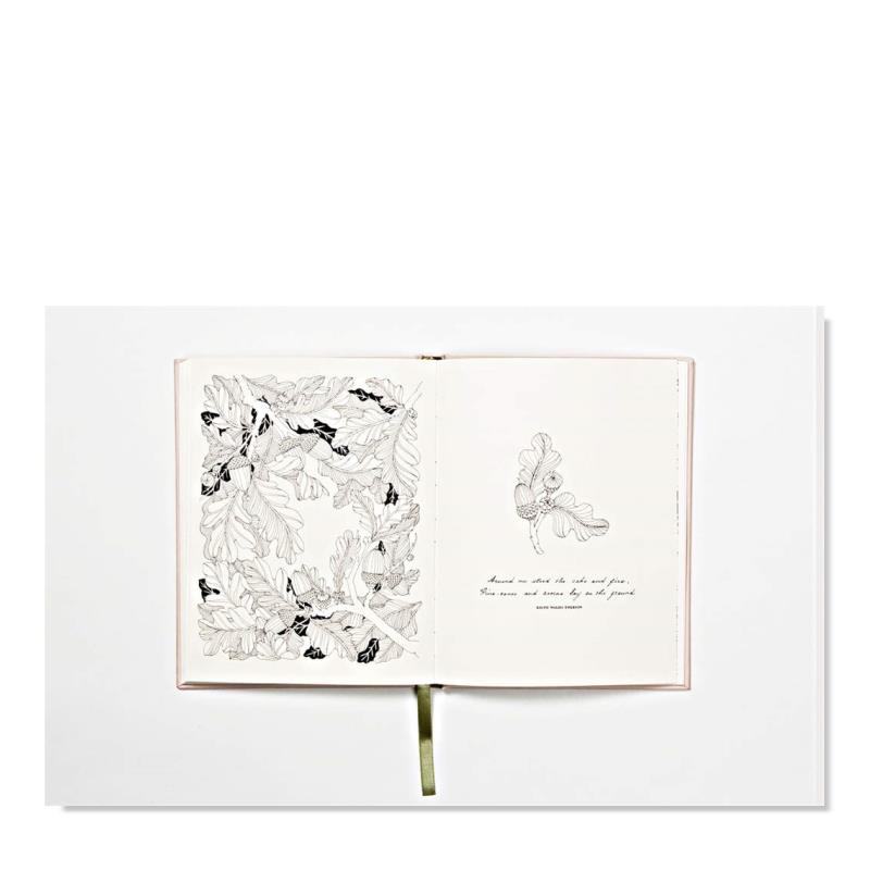 【预 售】鲜花之年:一本填色书 The Flower Year:A Colouring Book 精装图画本 Leila Duly花卉涂色书成人治愈解压书籍原版图书