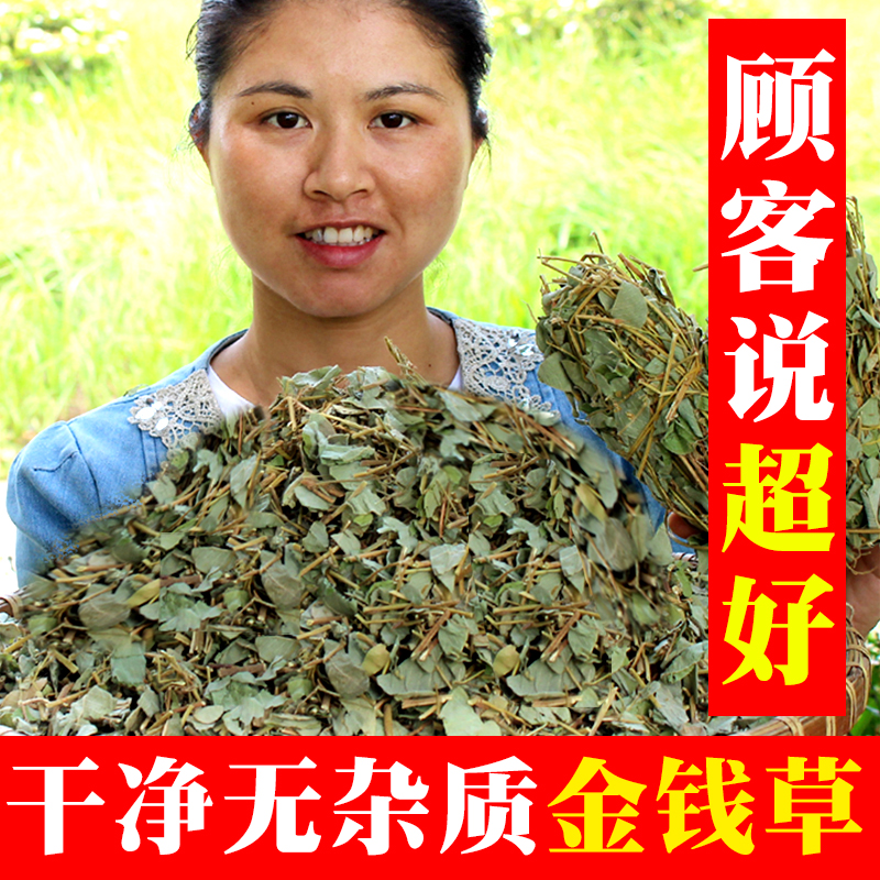 广西新鲜干净无硫大叶金钱草中药材广金钱草中草药泡水500克-图2