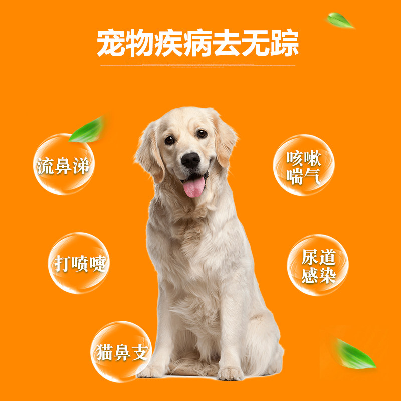 爱纳它希林安阿莫西林片宠物猫狗感冒咳嗽肺炎气管炎猫鼻支消炎药
