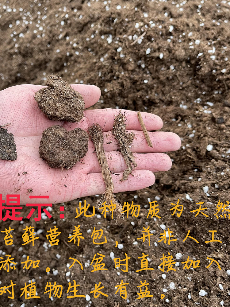 老花医配方通用土进口泥炭营养土园艺栽培优质土有机高档花卉用土 - 图1