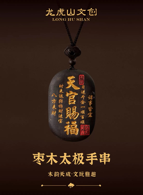 龙虎山天师道道家天官赐福雷击木枣木吊坠项链男款新中式项坠